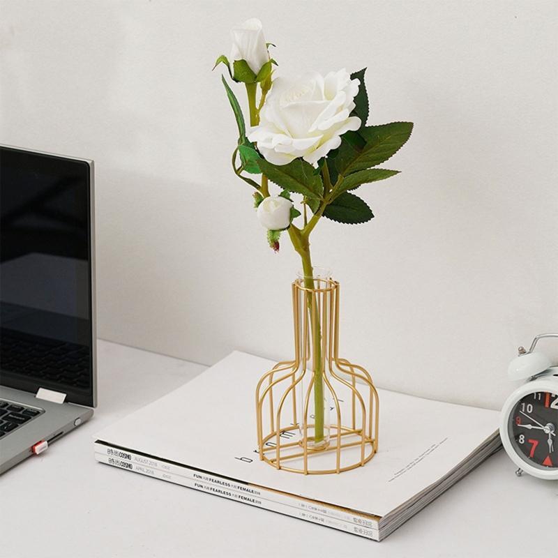 Nordic Style Wrought Iron Flower Pot Glass Tube Vase Hydroponic Plant Flowers