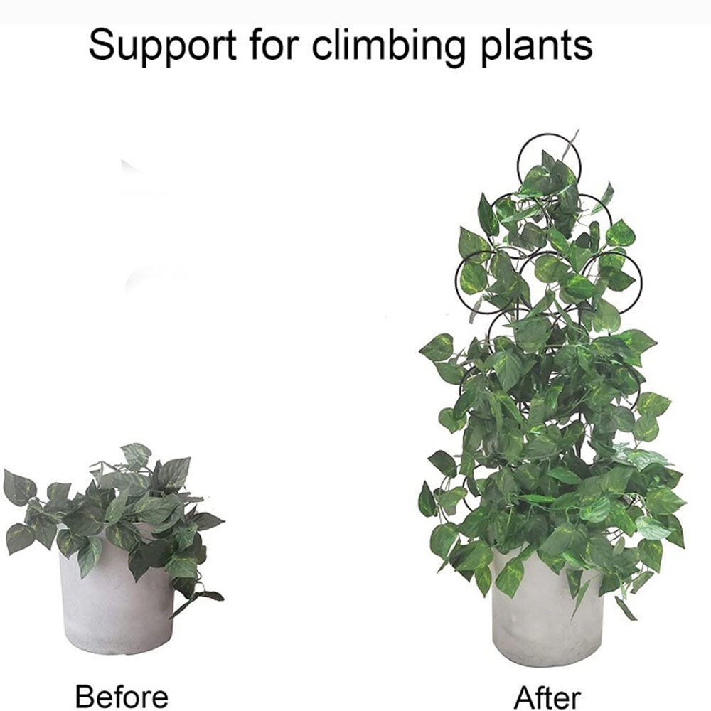 Bracket Plants Support Potted Plants Stand Climbing Rattan Frame Climbing Rack