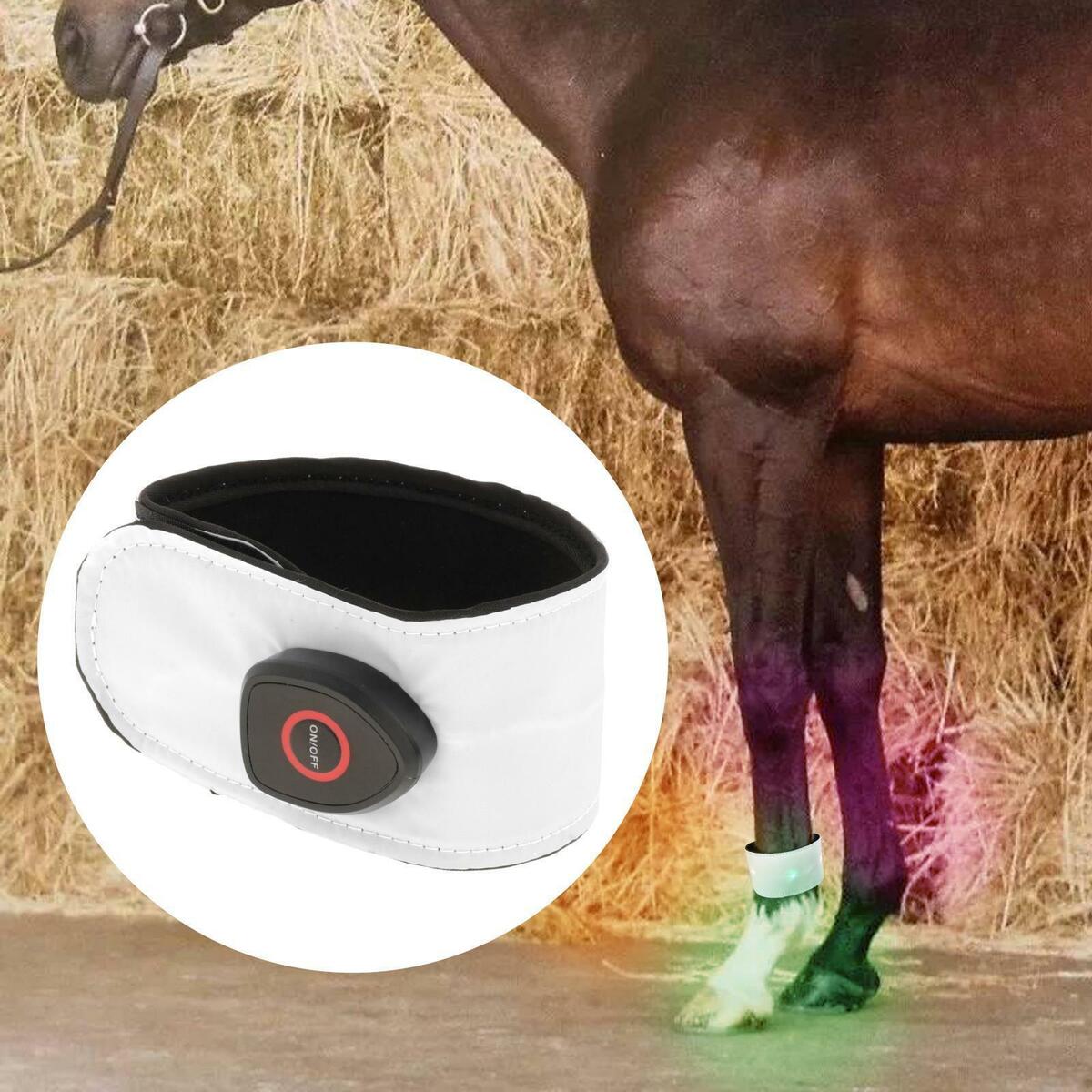2x Horse LED Ankle Strap Belt Equestrian Supply for Riding Running Night