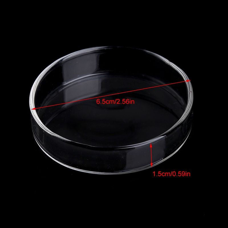 Tray Container Acrylic. Aquarium Fish Tank Clear Shrimp Feeding Food Dish Feeder