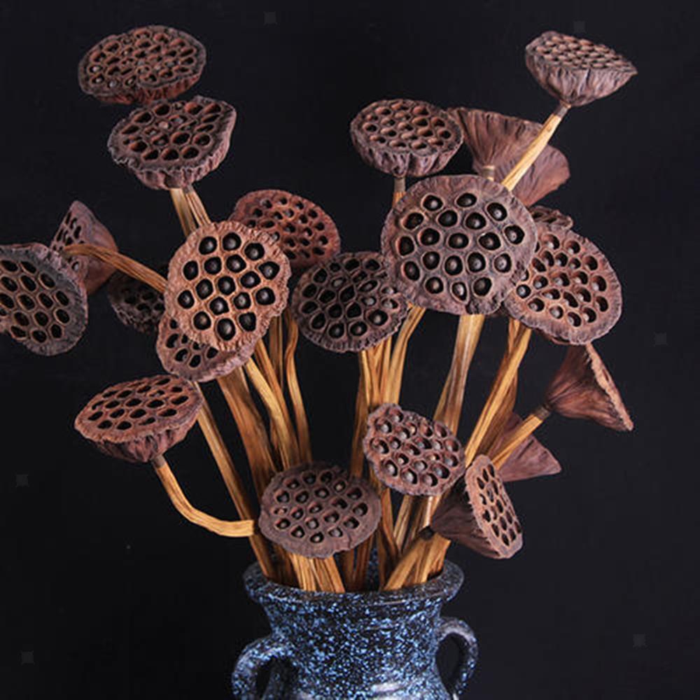 180pcs Natural Dried lotus pod Flowers Fruit for floral decor crafts DIY