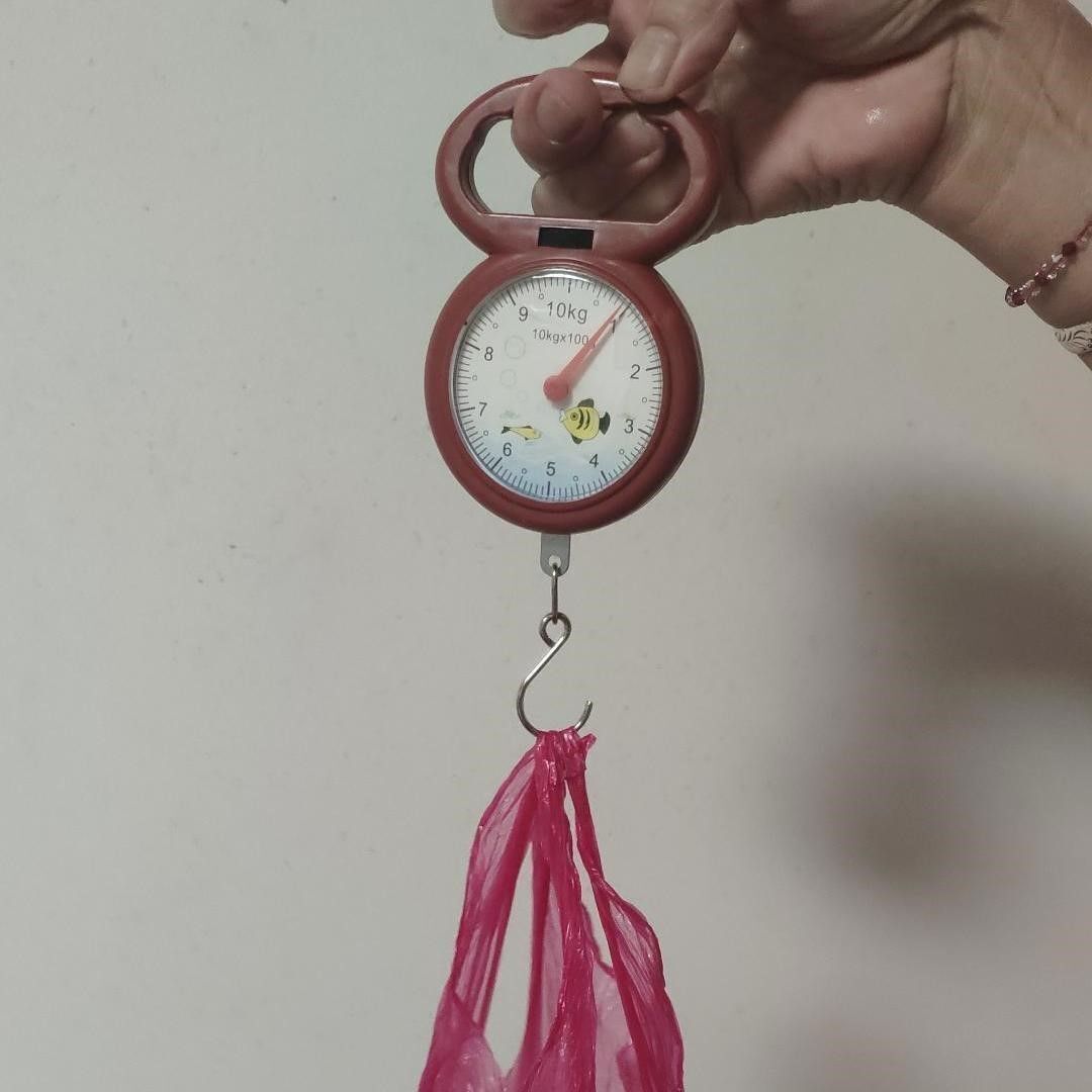 Hook Weighing Portable Hanging Scale Numeral Pointer 10kg Weighing Spring Scale