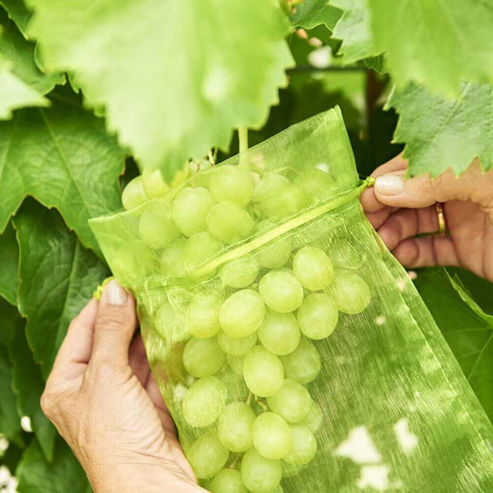 50pcs Garden Drawstring Net Bags Vegetable Fruit Grapes Protection Pouch