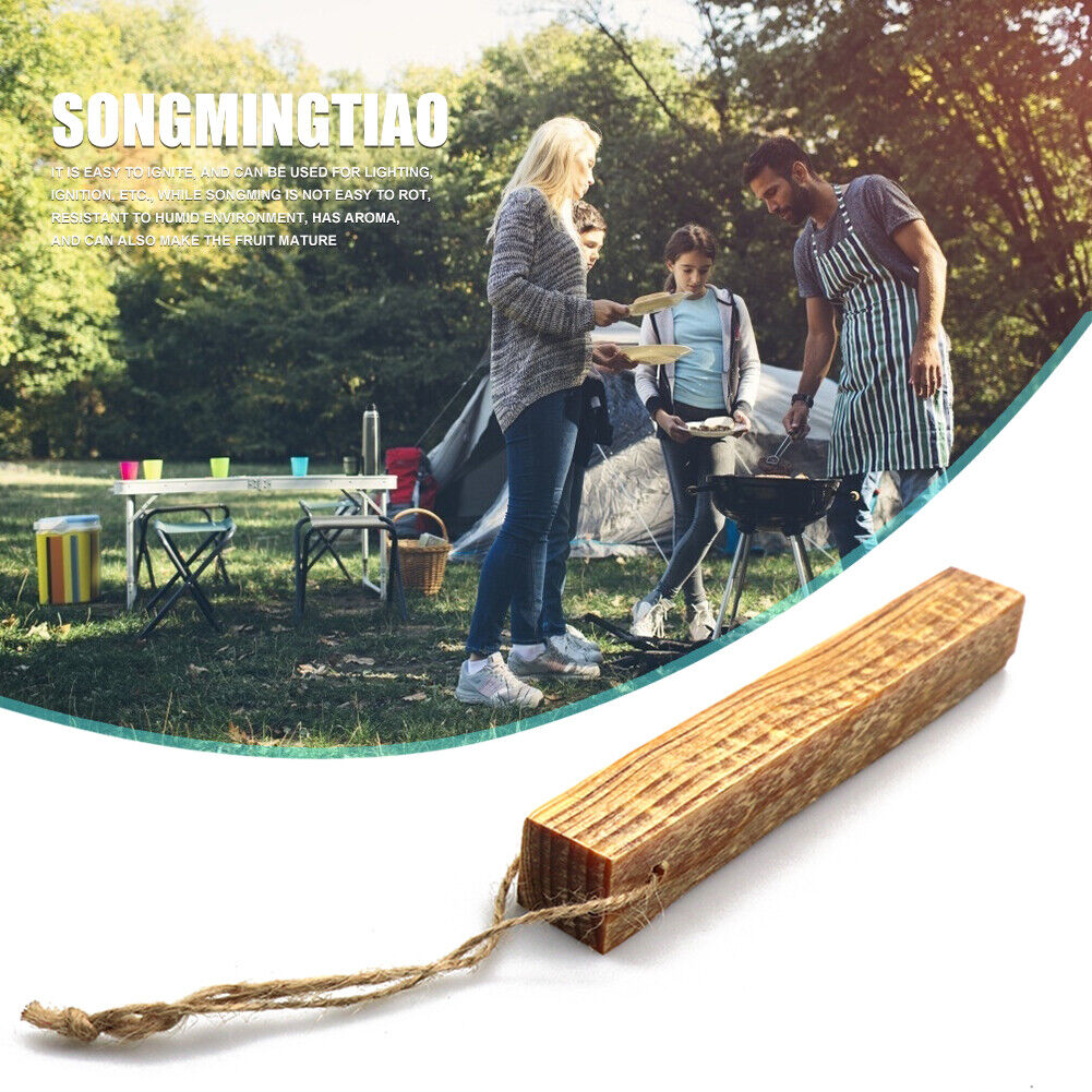 BBQ Bonfire Pinewood Charcoal Fire Outdoor Camping Hiking Survival Tools
