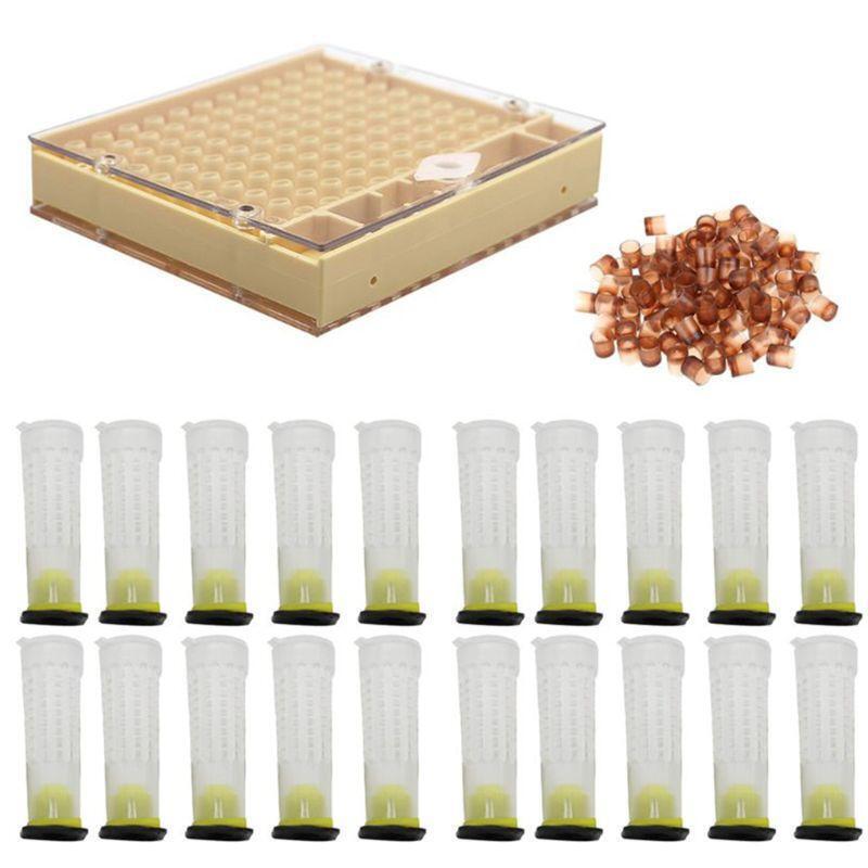 Complete Bee Queen Rearing Cup Kit System  Beekeeping Equipment Tools