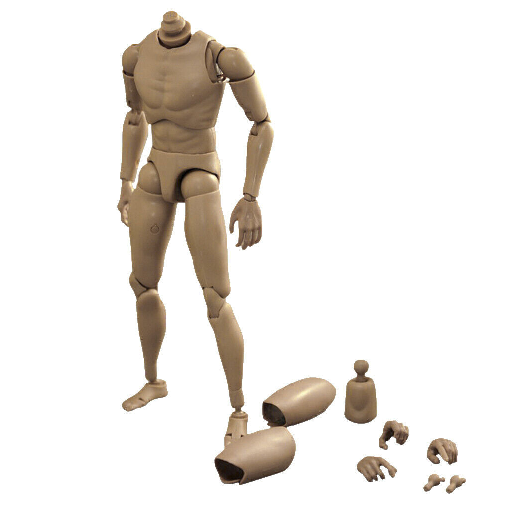 10Pcs 1/6 Scale Hot  Body Sketch Skeleton for Dragon DML BBI DID
