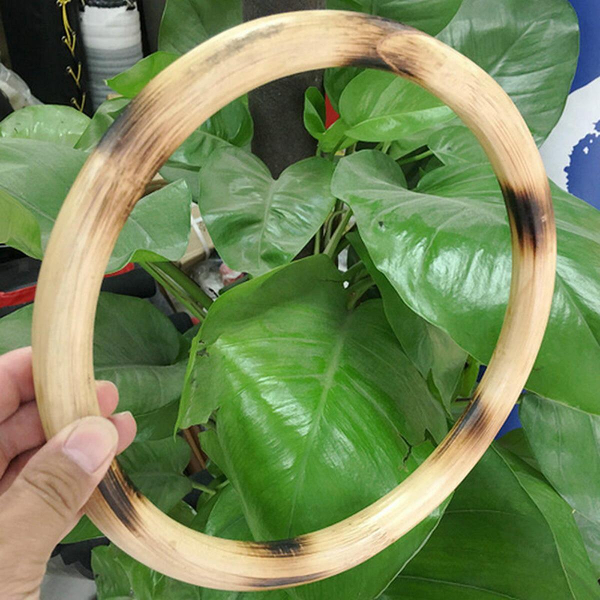 Wing Chun Rattan Ring Sticky Hand Strength Training Wing Tsun Kung Fu