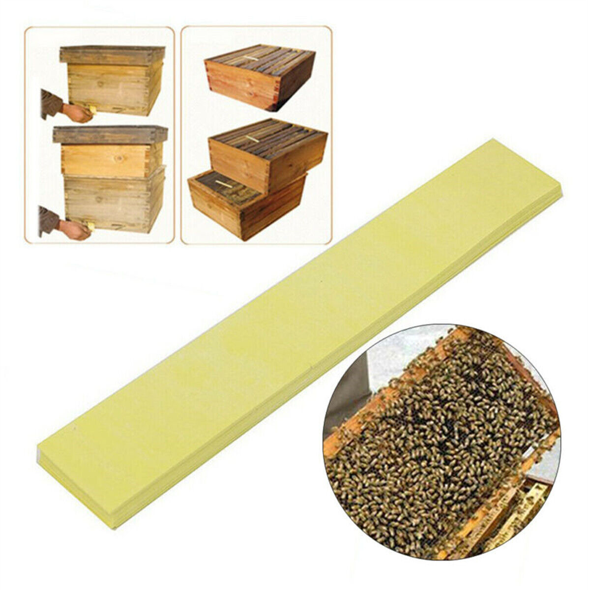 20X Varroa Strip Bee Mite Pro Acaricide Killing Beekeeping Pest Control Medicine