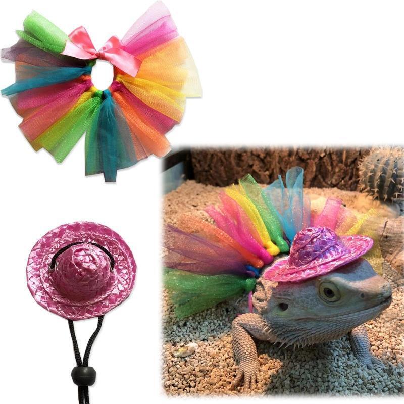 Lizard Costume for Bearded Dragon Geckos Bearded Dragon Reptile Apparel