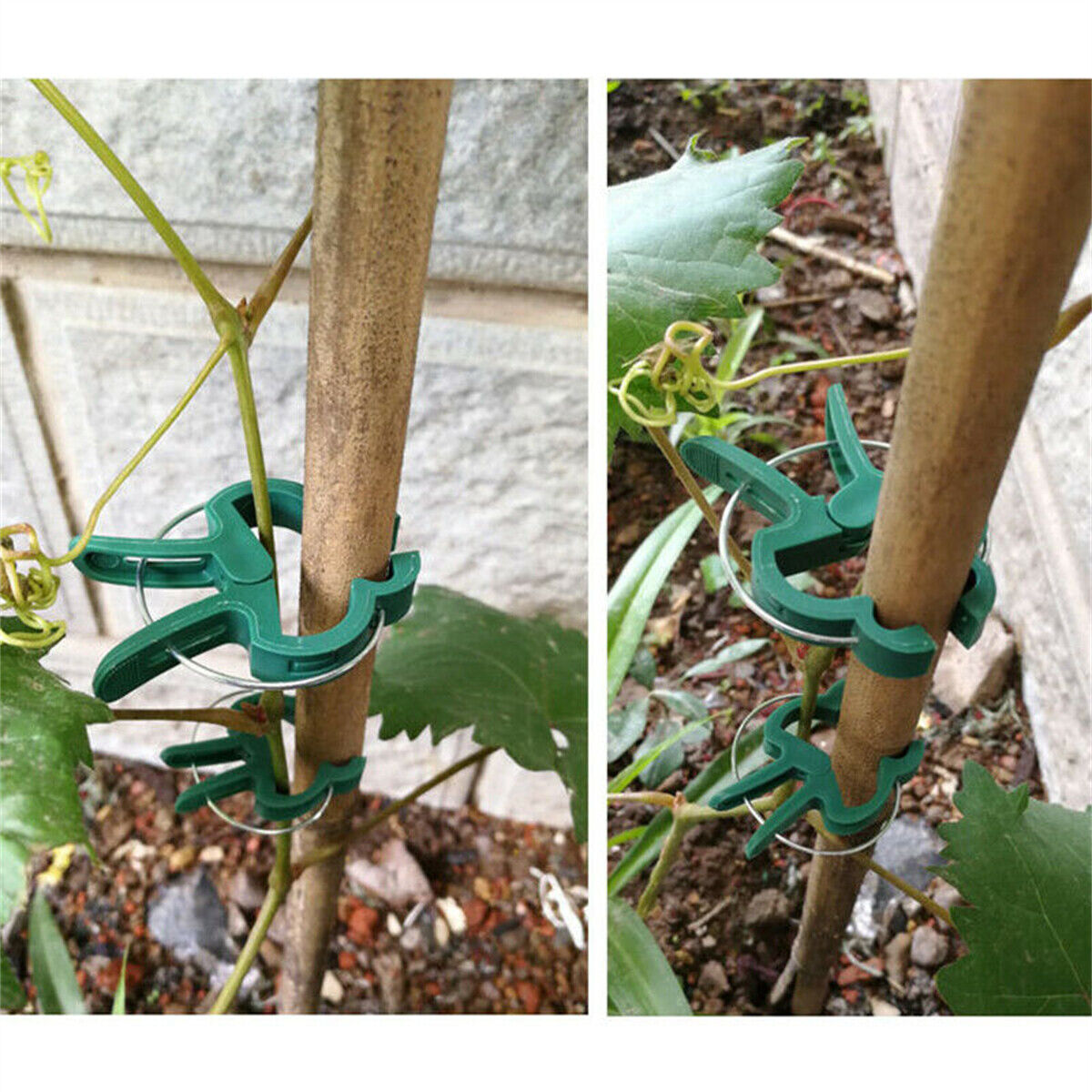 30X Garden Plant Clips Tomato Tie Stem Orchid Support Weatherproof Grow Training