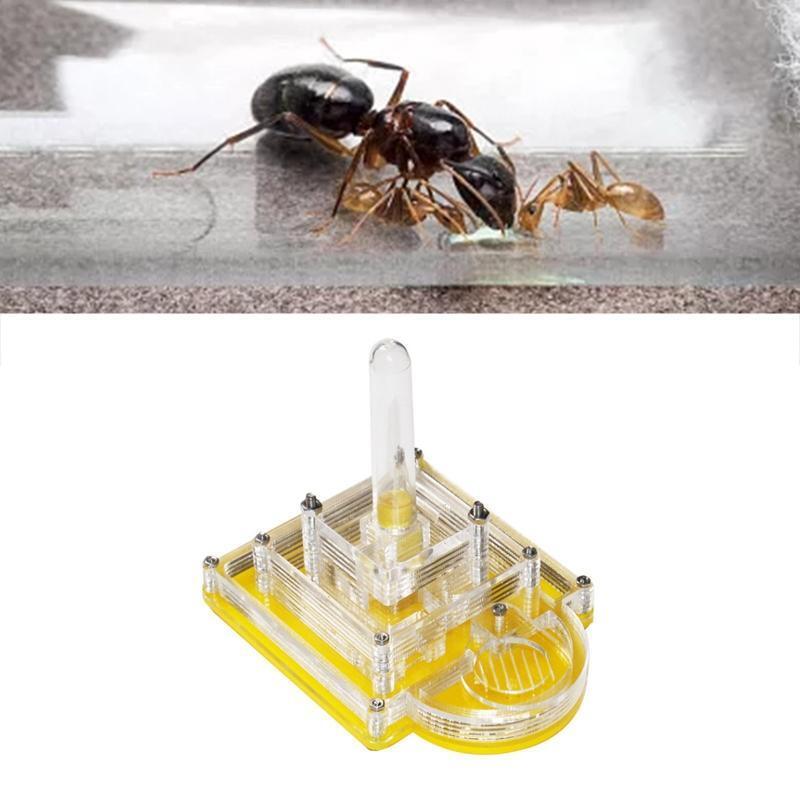 Ant Farm Ants Habitat Nest Water Tower Transparent Box to Observe Live Ants