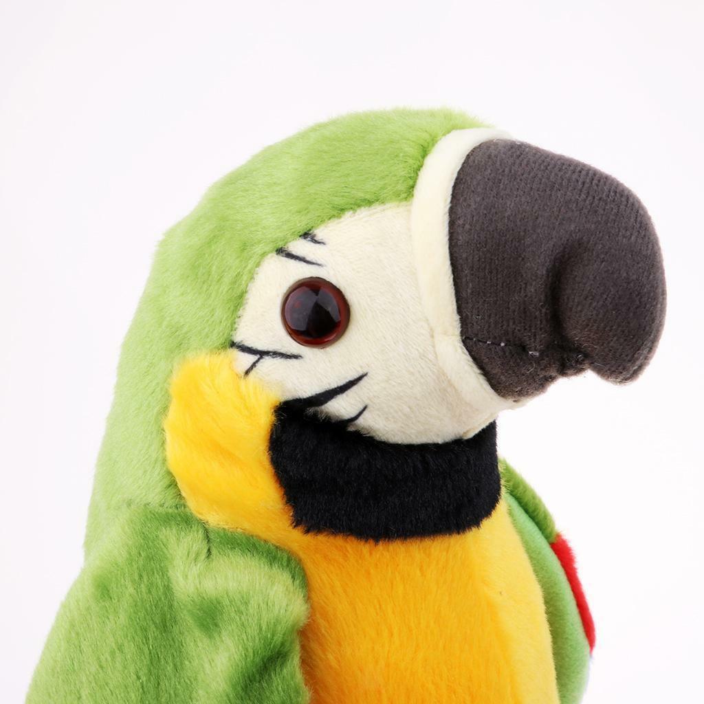 2pcs Talking Parrot Voice Recorder  Gifts  over 3 Year Old