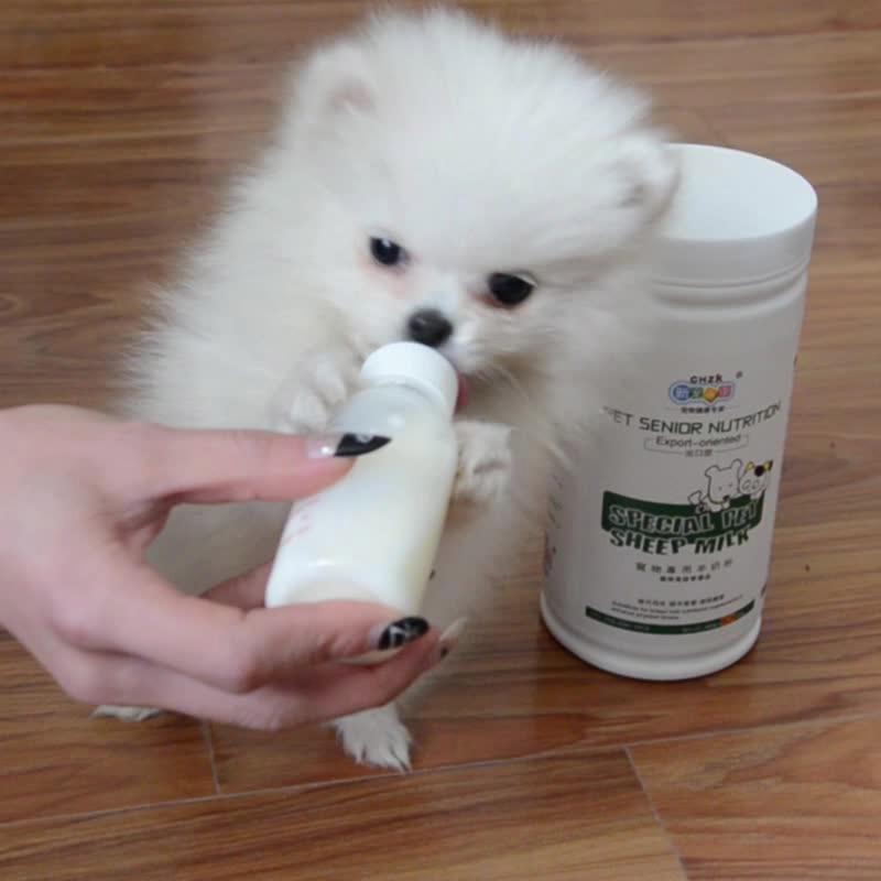 Pet Feeding Bottle Nipple Brush Set Feeding Tools Nursing Kit Milk Dispenser