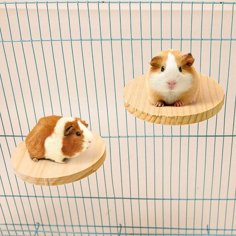 4 Pieces Wood Platform for Small Pet Animals Parrot Parakeet Conure Cockatiel
