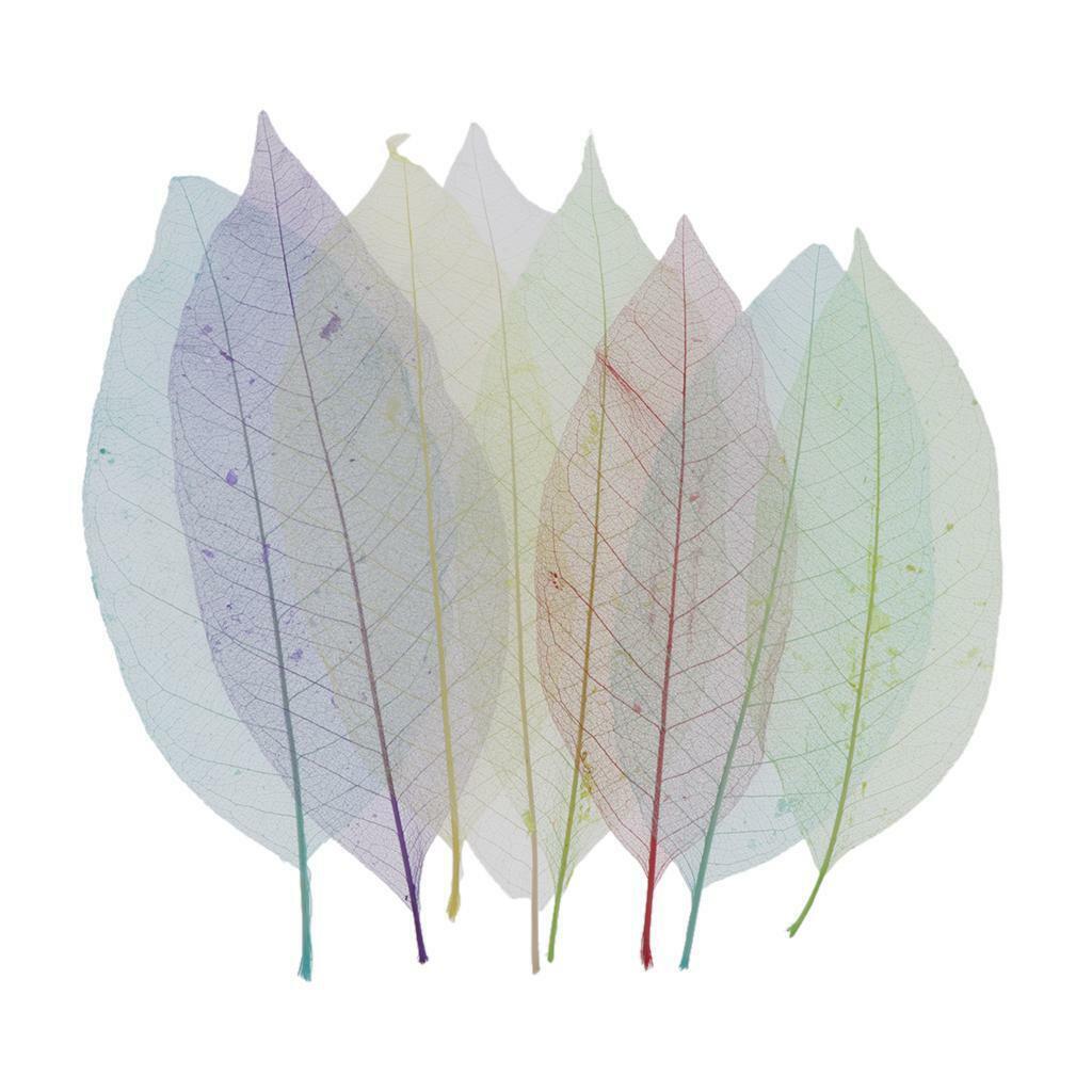 16pcs Mixed Dried Skeleton Leaves Cardmaking Bookmarks Earrings Photo Album