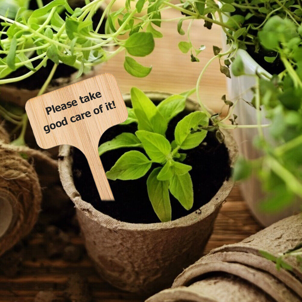 50x Wooden T-Shape Plant Labels Seed Potted Herbs Flowers Sign Tags Sticks