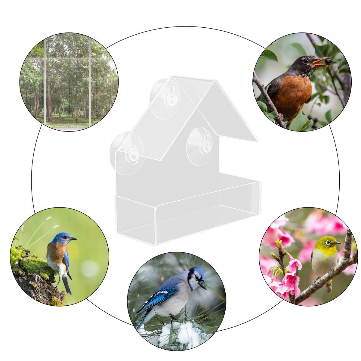 Plastic Window Bird Feeder, Transparent, Suction Cup, House Shape Birdhouse