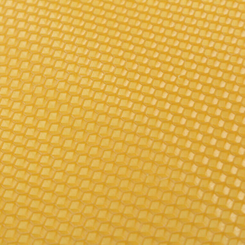 10x Beekeeping Honeycomb Foundation Wax Frame Honey Hive Equipment Tool Supplies