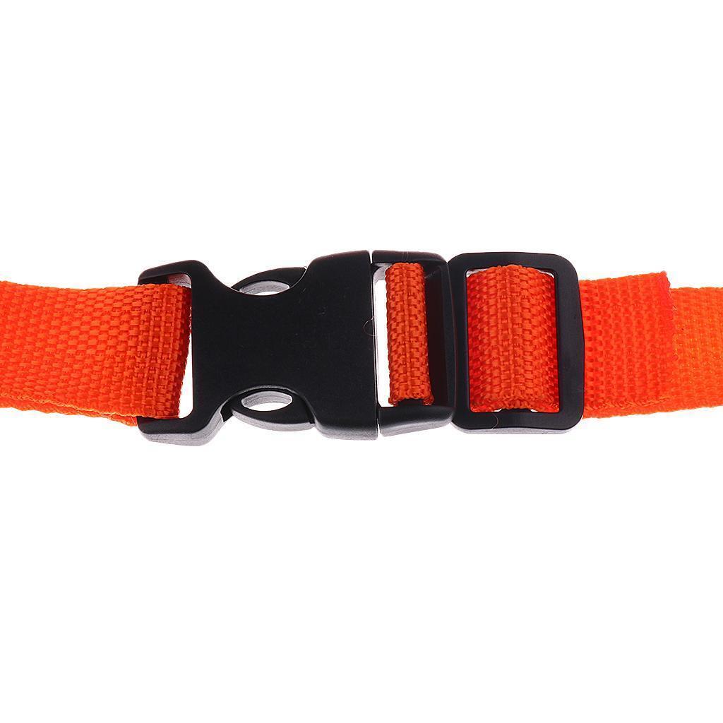 Swim Training Belt Swim Tether Adjustable for Water Sports Pool Accessory