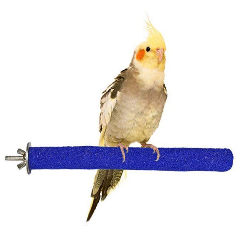 5Pcs Wooden Bird Perch Rough-surfaced Parrot Bird Cage Perch Stand for Grinding