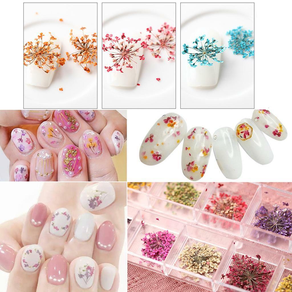 32pcs Pressed Dried Flowers for DIY Handmade Candle Jewelry