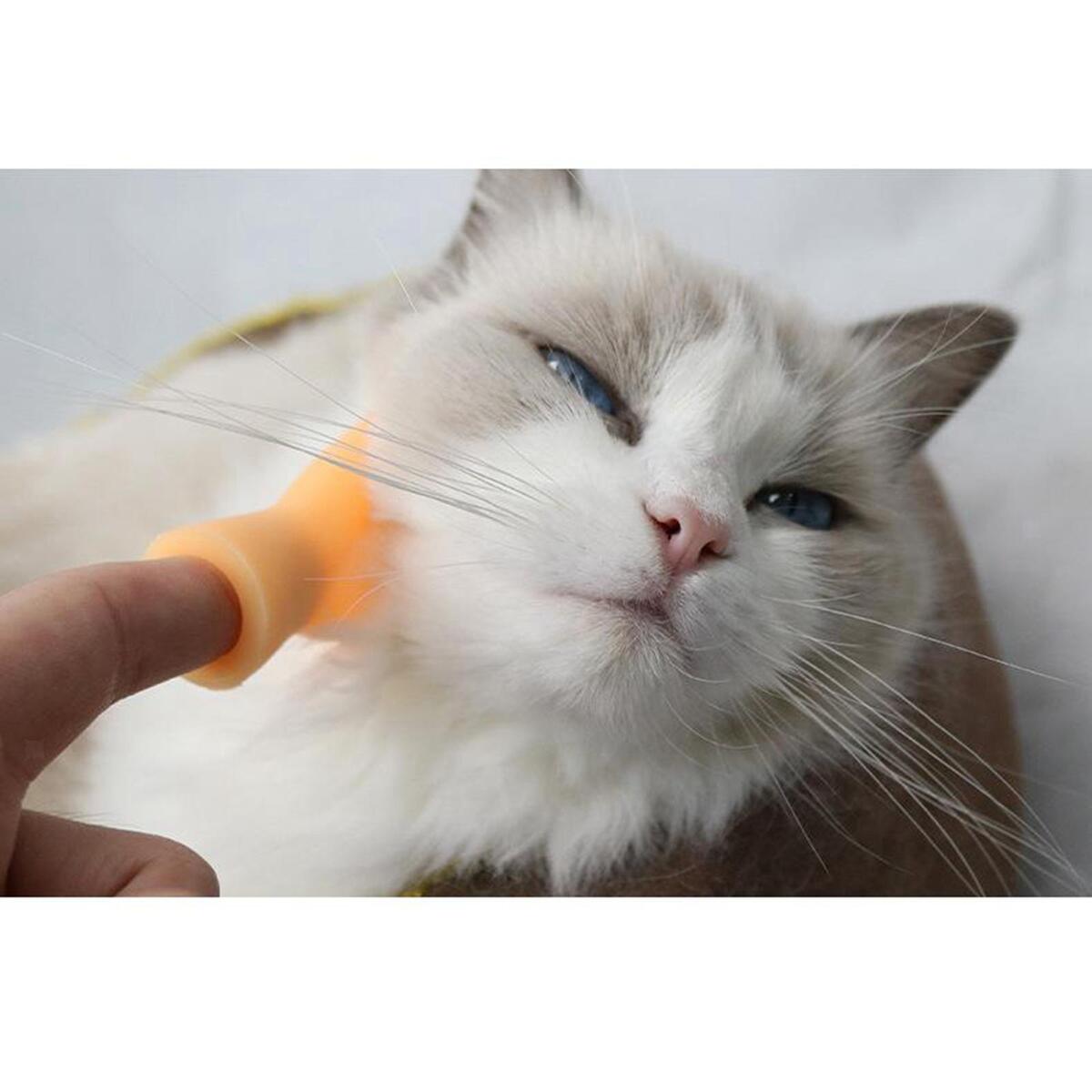Small Finger Hands Puppet Finger  Rubber Puppets for
