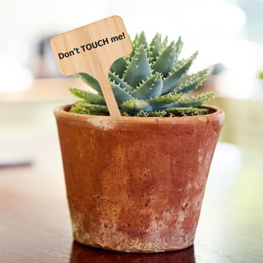 50x Wooden T-Shape Plant Labels Seed Potted Herbs Flowers Sign Tags Sticks
