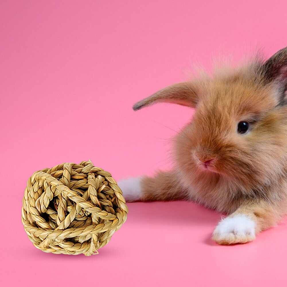 Hamster Rabbit Chewing Molar Grass Ball Small Animals Pet Tooth Clean Balls