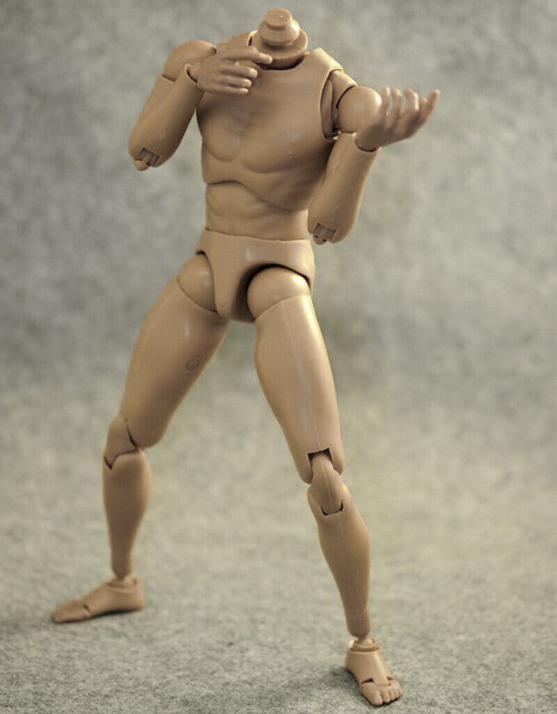 10Pcs 1/6 Scale Hot  Body Sketch Skeleton for Dragon DML BBI DID