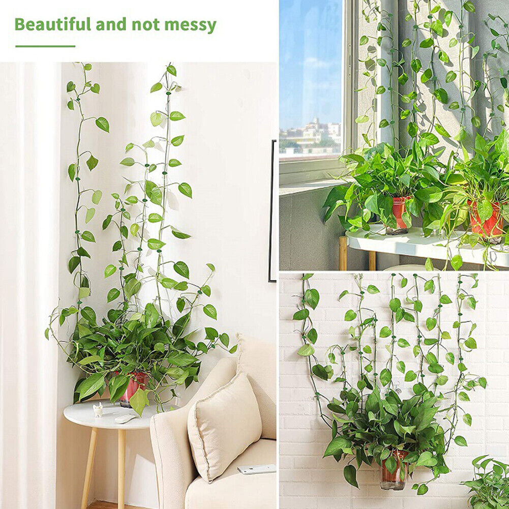 10pcs Plant Fixture Clip Climbing Wall Self-Adhesive Fastener Vine Buckles