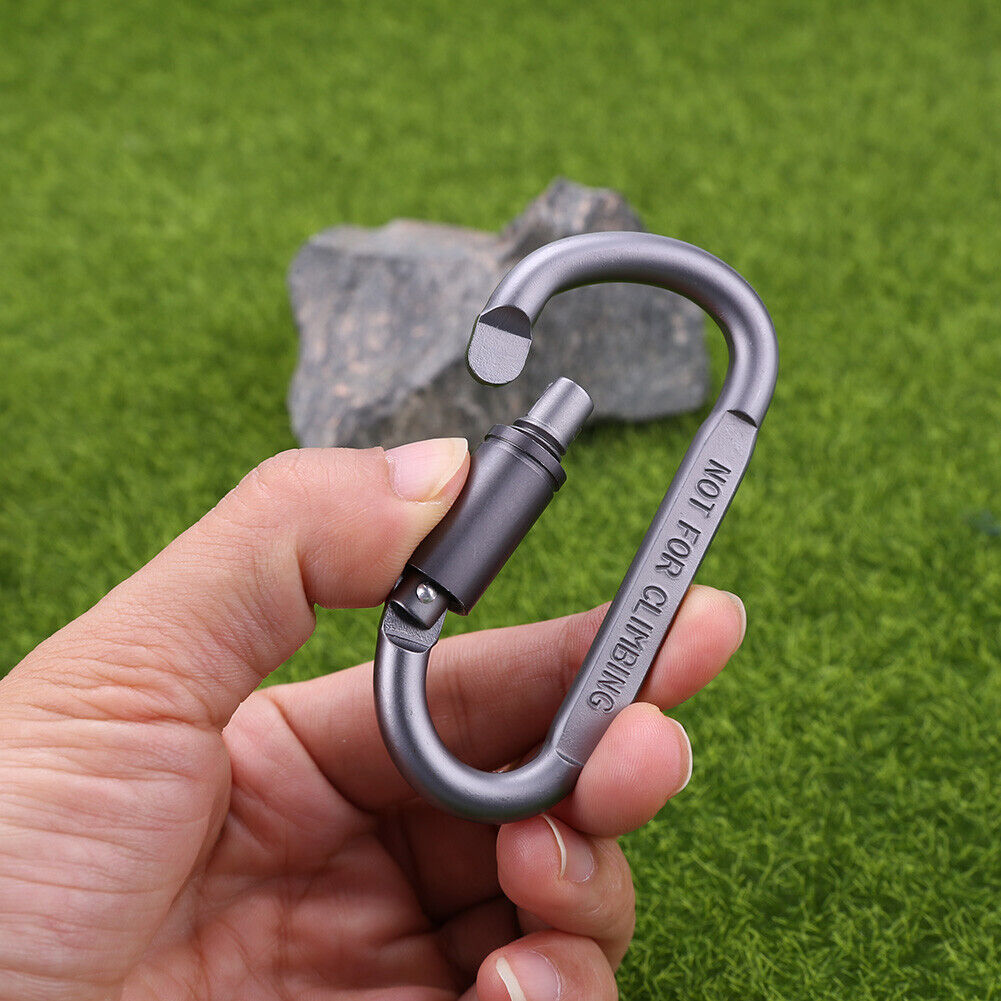 2Pcs Screw Lock D-Shaped Carabiner Hook Keyring Clip Camping Outdoor Sports
