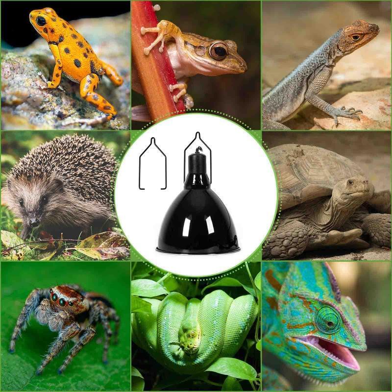 4 Pieces Reptile Lamp Hanger Metal Light Fixture Terrarium Light Accessories
