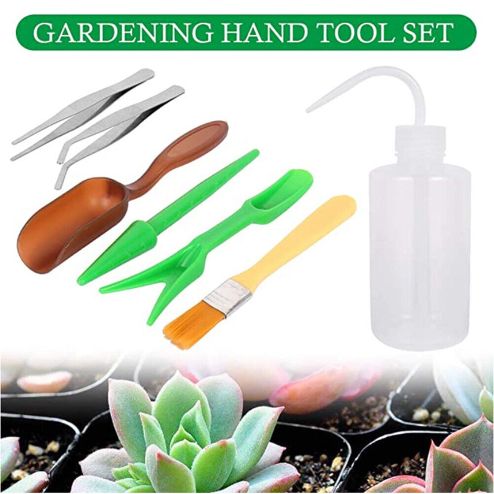 7pcs Succulent Transplanting Bonsai Seedling Drilling Garden Planter Kit