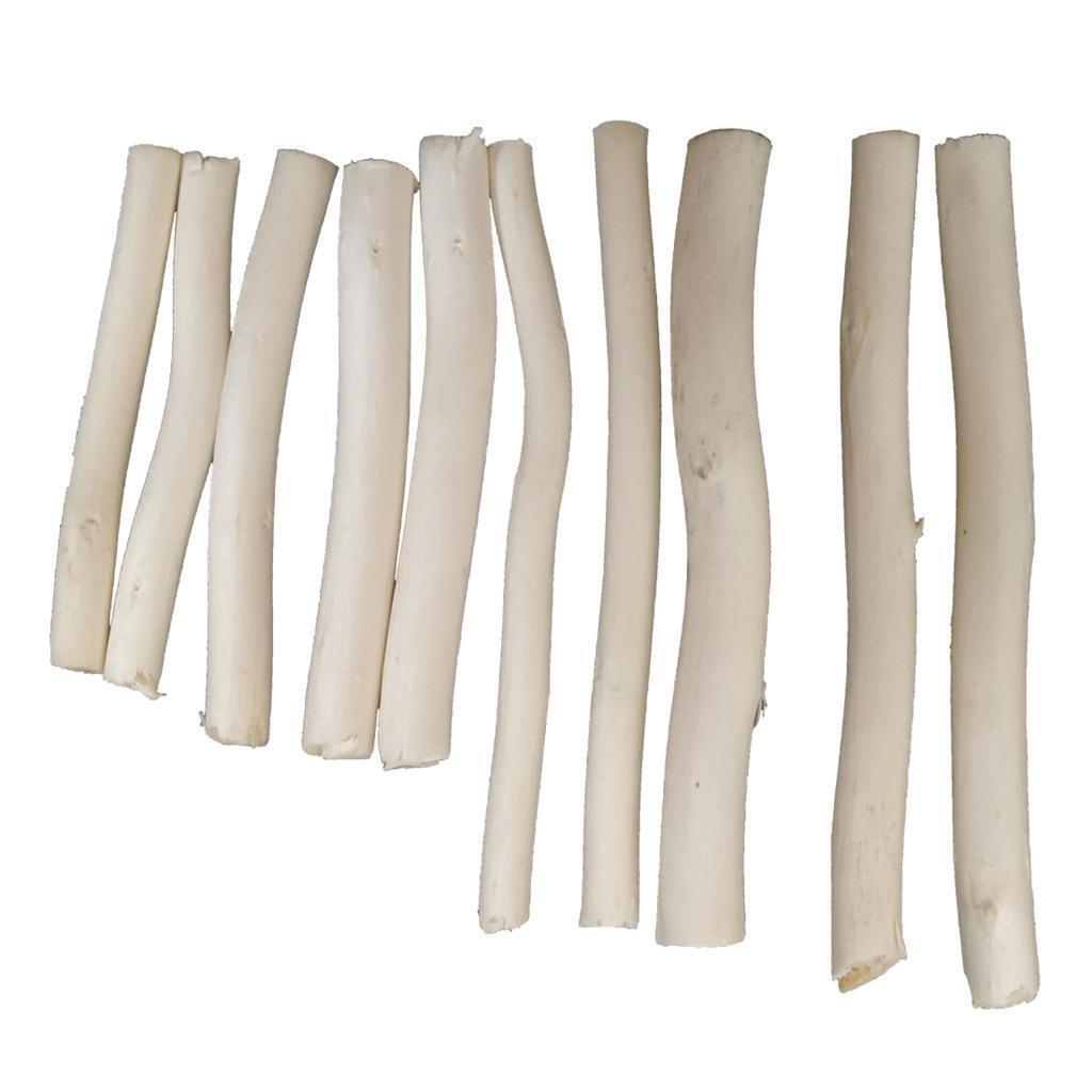 20 Pcs Natural Tree Branch Wood Sticks DIY Craft Vase Filler Photo Props