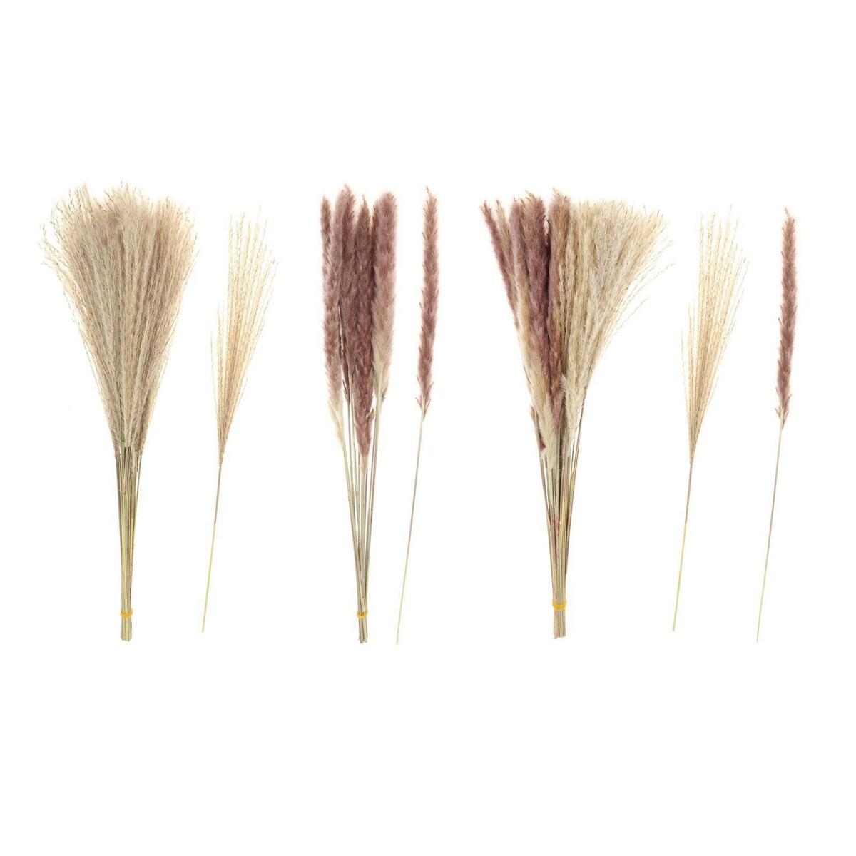 of 70 Rustic Dried  Grass Bunch  Living Room Table  Decor