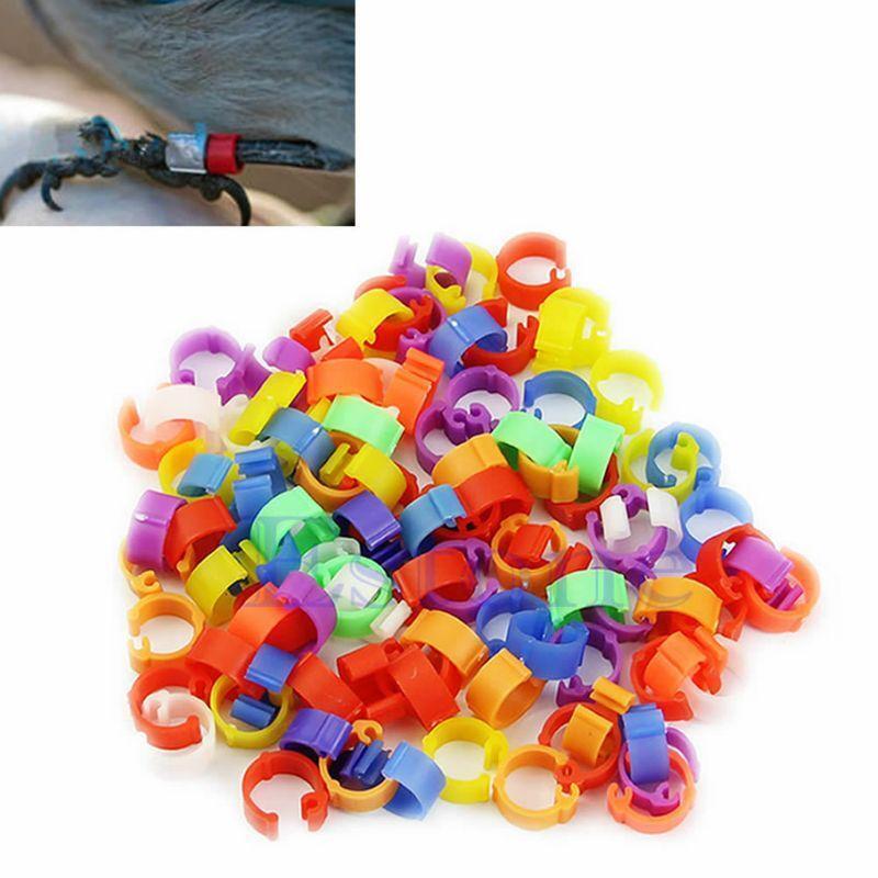 Pigeon Leg Rings 100Pcs Poultry Leg Ring Bands  Chicks Lovebird Small Poultry
