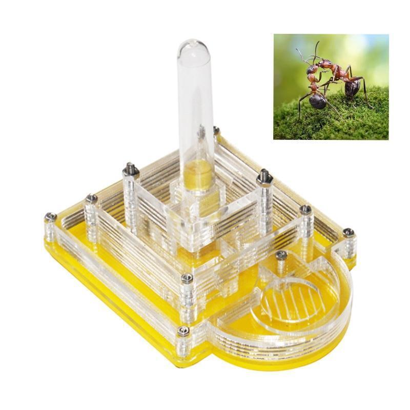 Ant Farm Ants Habitat Nest Water Tower Transparent Box to Observe Live Ants