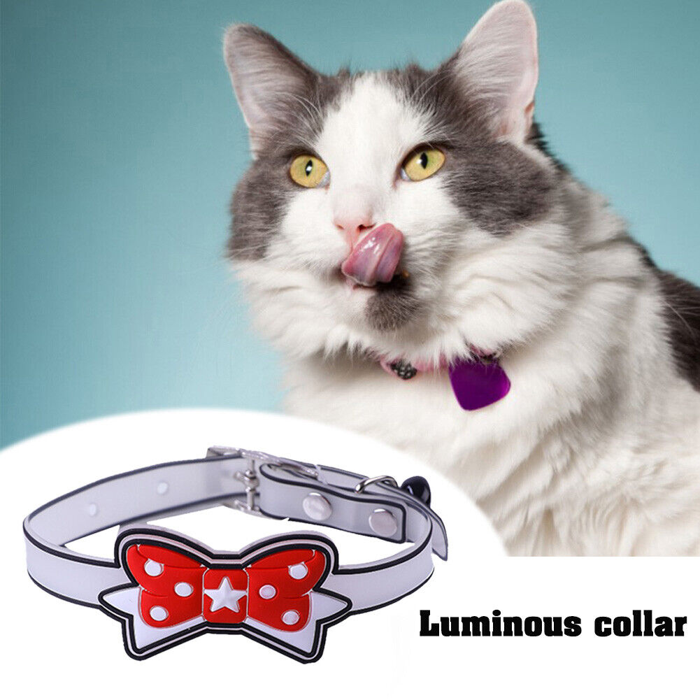 Pet Collar Silicone Night Safety Luminous Fluorescent Harness (Tie Red)