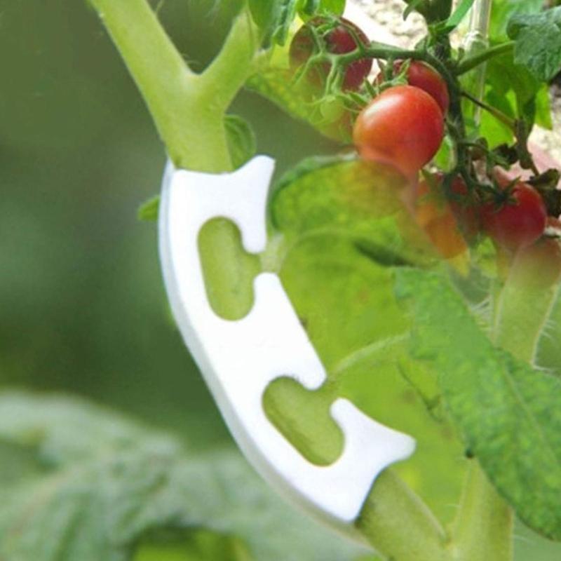 50 Pcs Plastic Fruit Vegetable Fixing Tools Durable Plants Support Clips Clamp