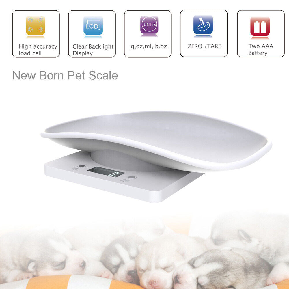Mini Digital Scale Electronic LCD High Precision Gram Pet Weighing Scale