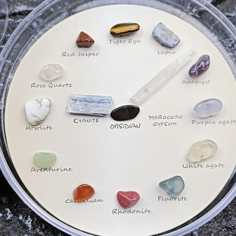 Exquisite Polished Natural Stones Geological Teaching Props for Teacher Student