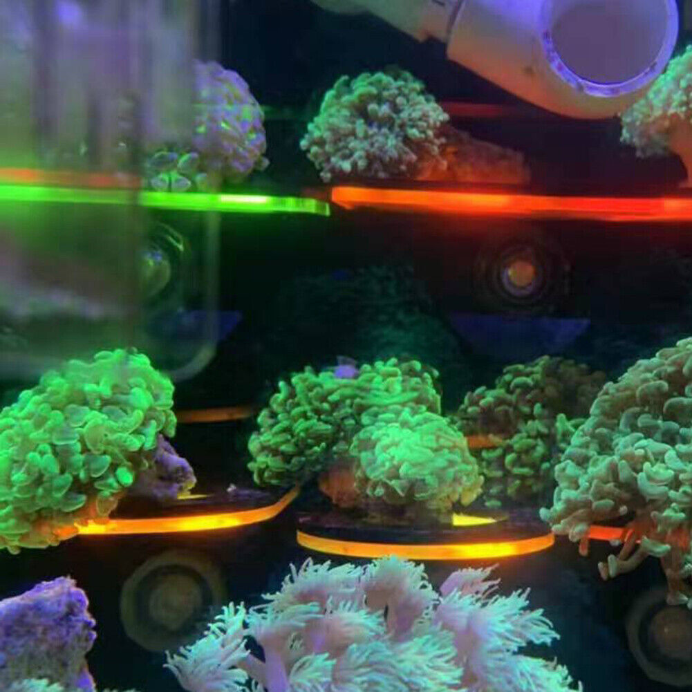 Fish Tank Fluorescence Coral Frag Rack Aquarium Reef w/Plug Holder (Yellow)