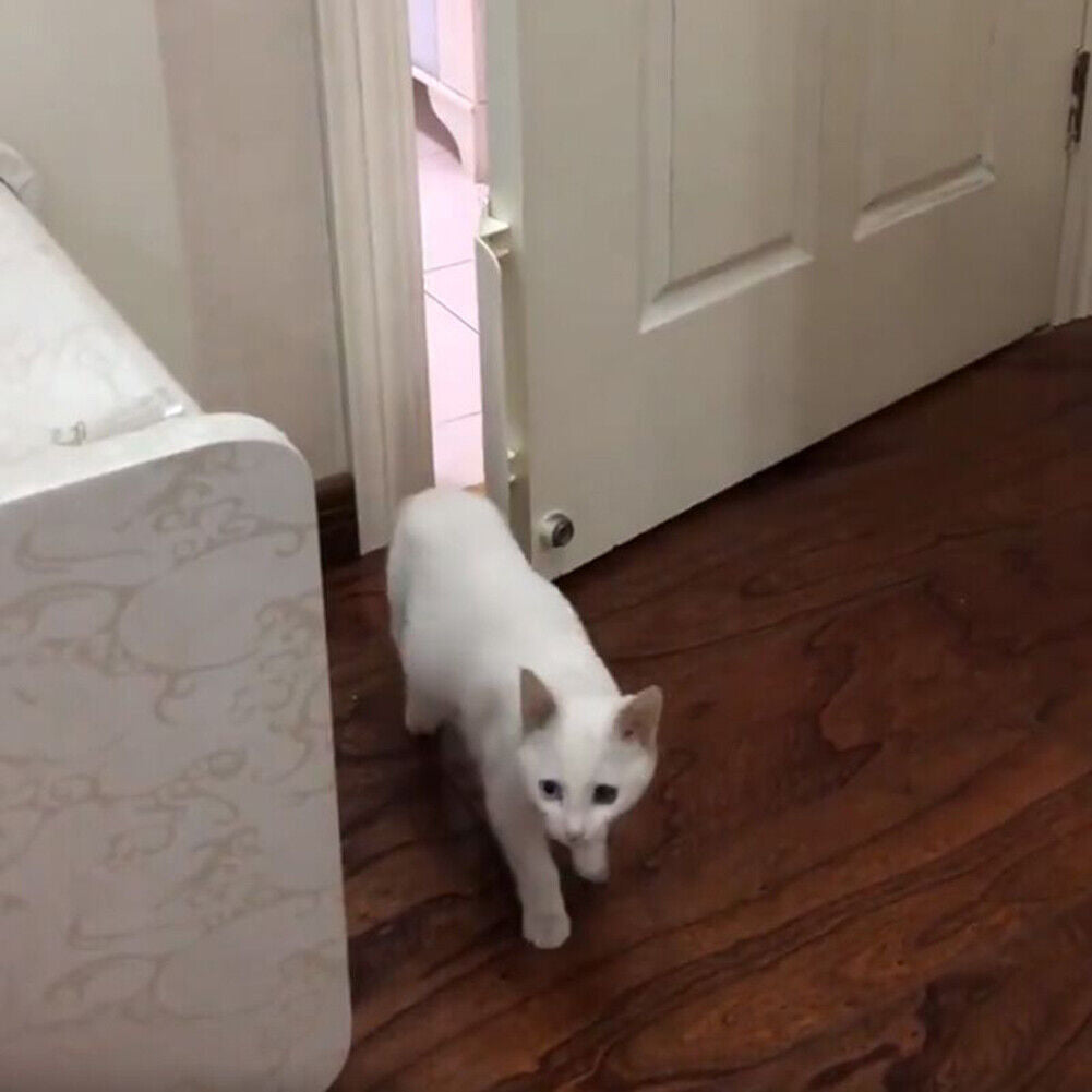 Dog Cat Door Opener Automatical Puppy Kitten ABS Doors Opening Enter Freely