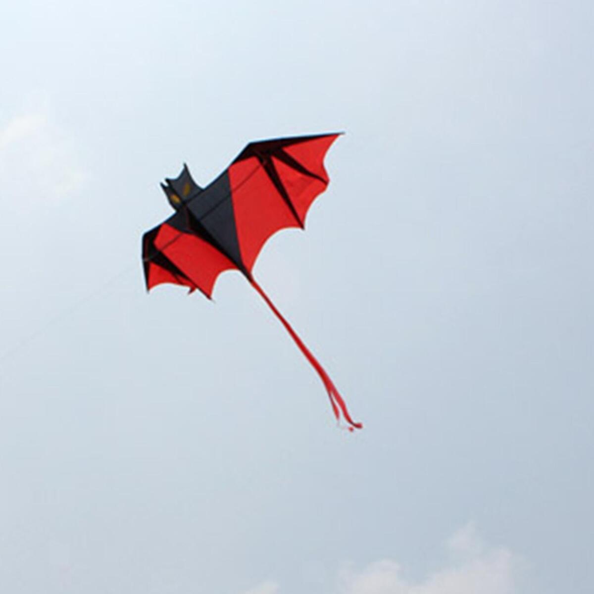 Outdoor Bat Kite Handle with 30M String Bat Kite plaything  for garden and