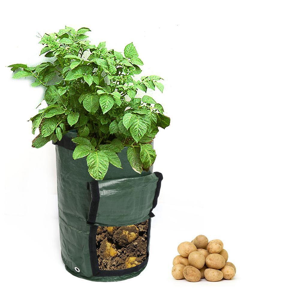 DIY Potato Grow Planter PE Planting Container Vegetable Grow Bag (35x50cm)