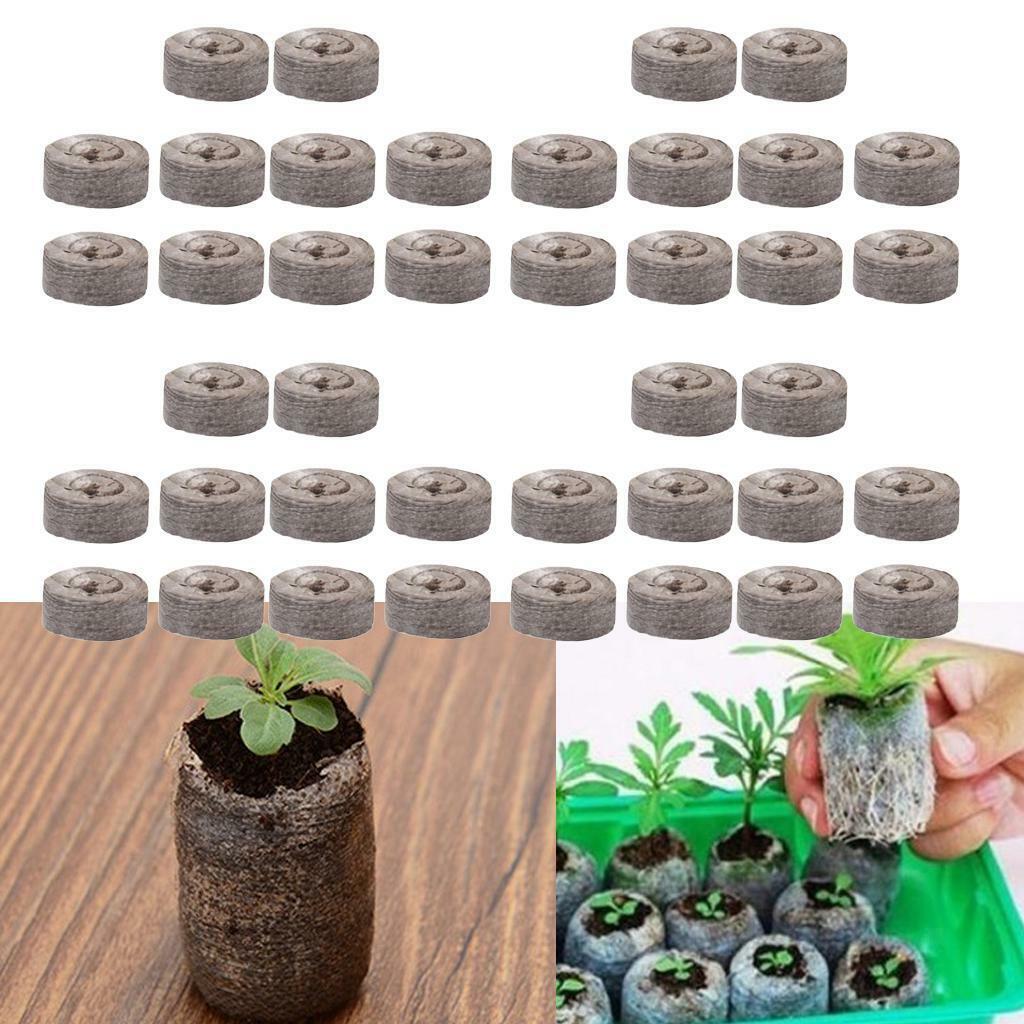 40Pcs Nursery Block Peat  Thumb Seedling  Block 31mm