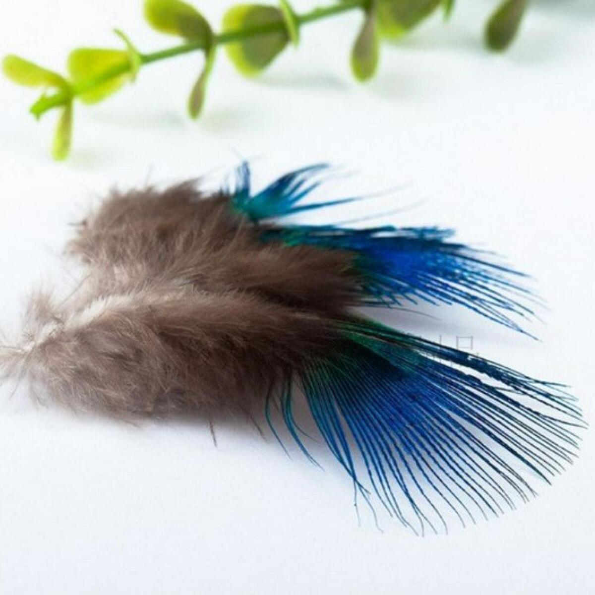 10x Blue Peacock Feathers DIY Headdress Craft Bulk Body Feathers for Show Vases