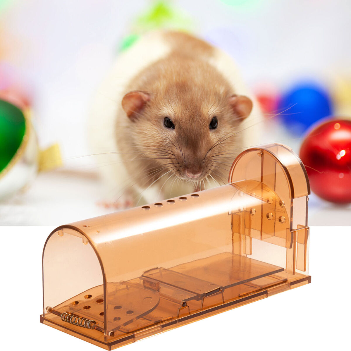 Humane Mouse Trap Rodent Rat Control 7 inch Hurtless Mousetrap (Pack of 2)