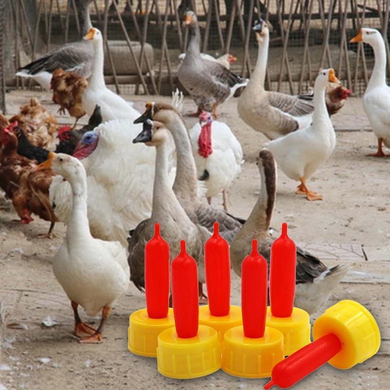 10 Pcs Puppy Dog Foal Calf Screw Coke Bottle Durable Nipple Drinker Bottle Tools