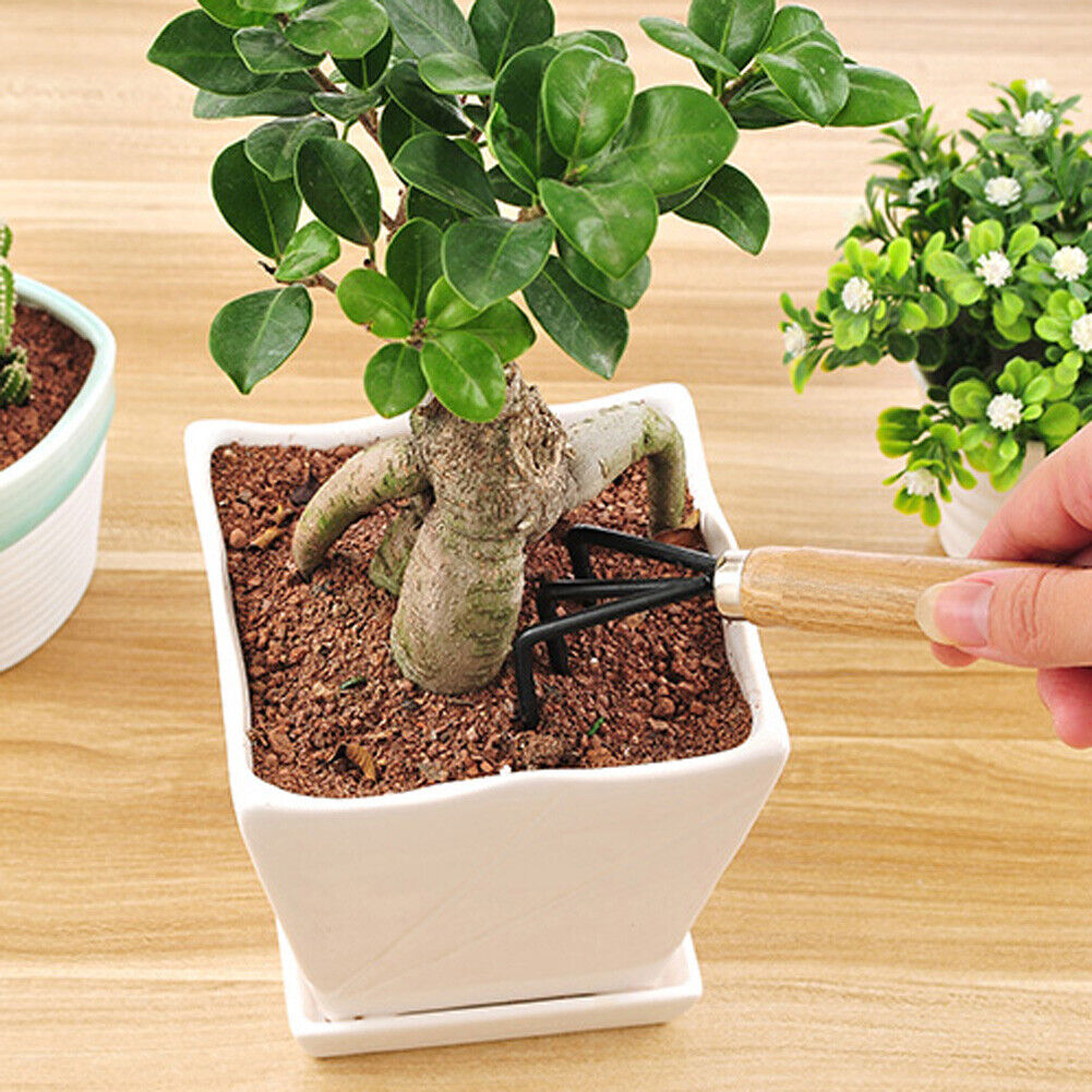 3 Piece Set Mini Garden Shovels and Claw Tool with Wooden Handles